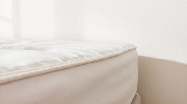 10 signes révélateurs que vos punaises de lit ont disparu