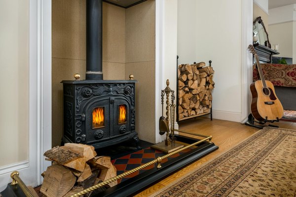 7 plantes qui peuvent survivre à l'ombre dans votre jardin