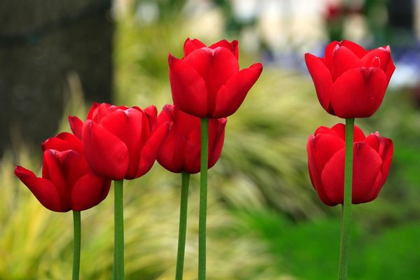 Astuces pour augmenter l'endurance en Aquabiking